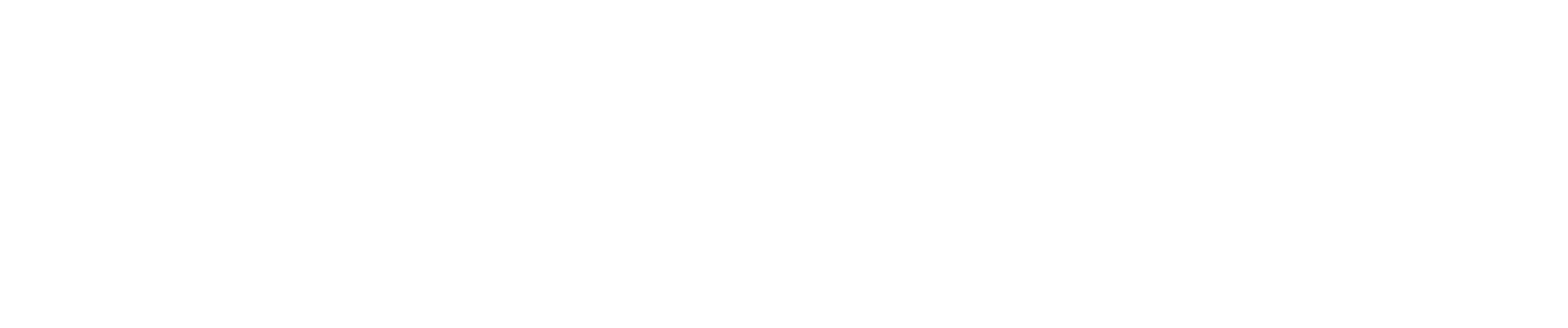 Premium Travel
