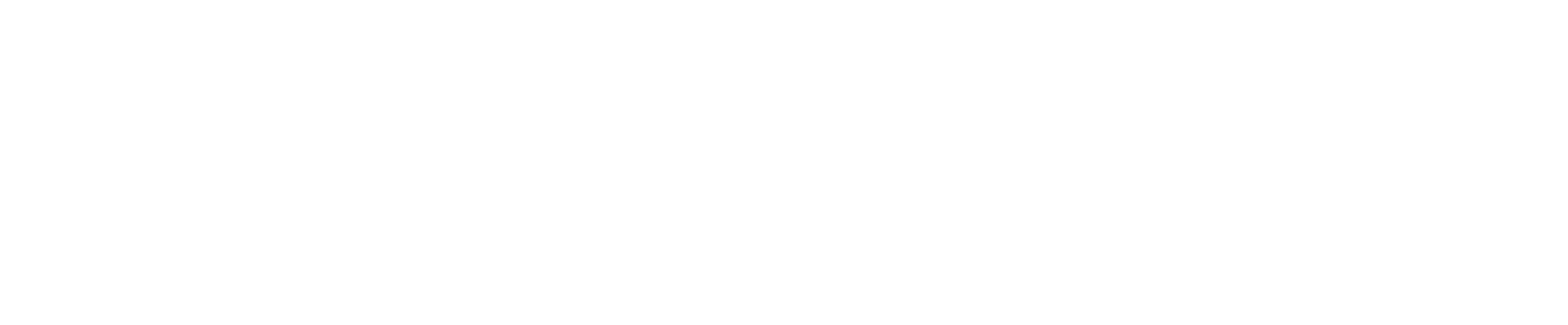 Travel Mate